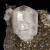 Calcite on Pyrite Villabona M04810